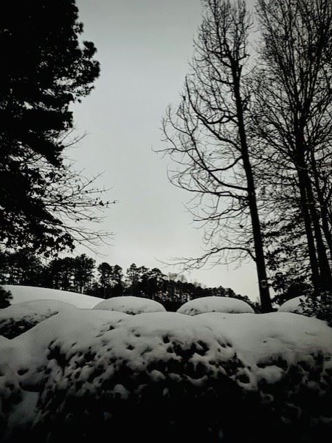 Snow Day in Pelham January 10, 2024